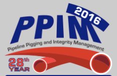 PPIM 2016