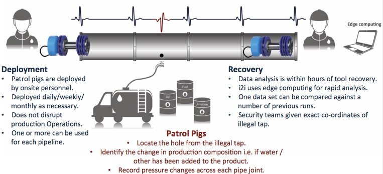 patrol pig infographic